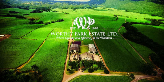 Worthy Park: Jamaica's Estate Distillery Since 1670