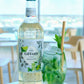 Giffard Mint & Lime Syrup - 1L