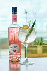 Giffard Lychee Liqueur - Classic
