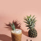 Giffard Pineapple Syrup - 1L
