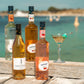 Giffard Piment D'Espelette (Chilli) Liqueur - Premium